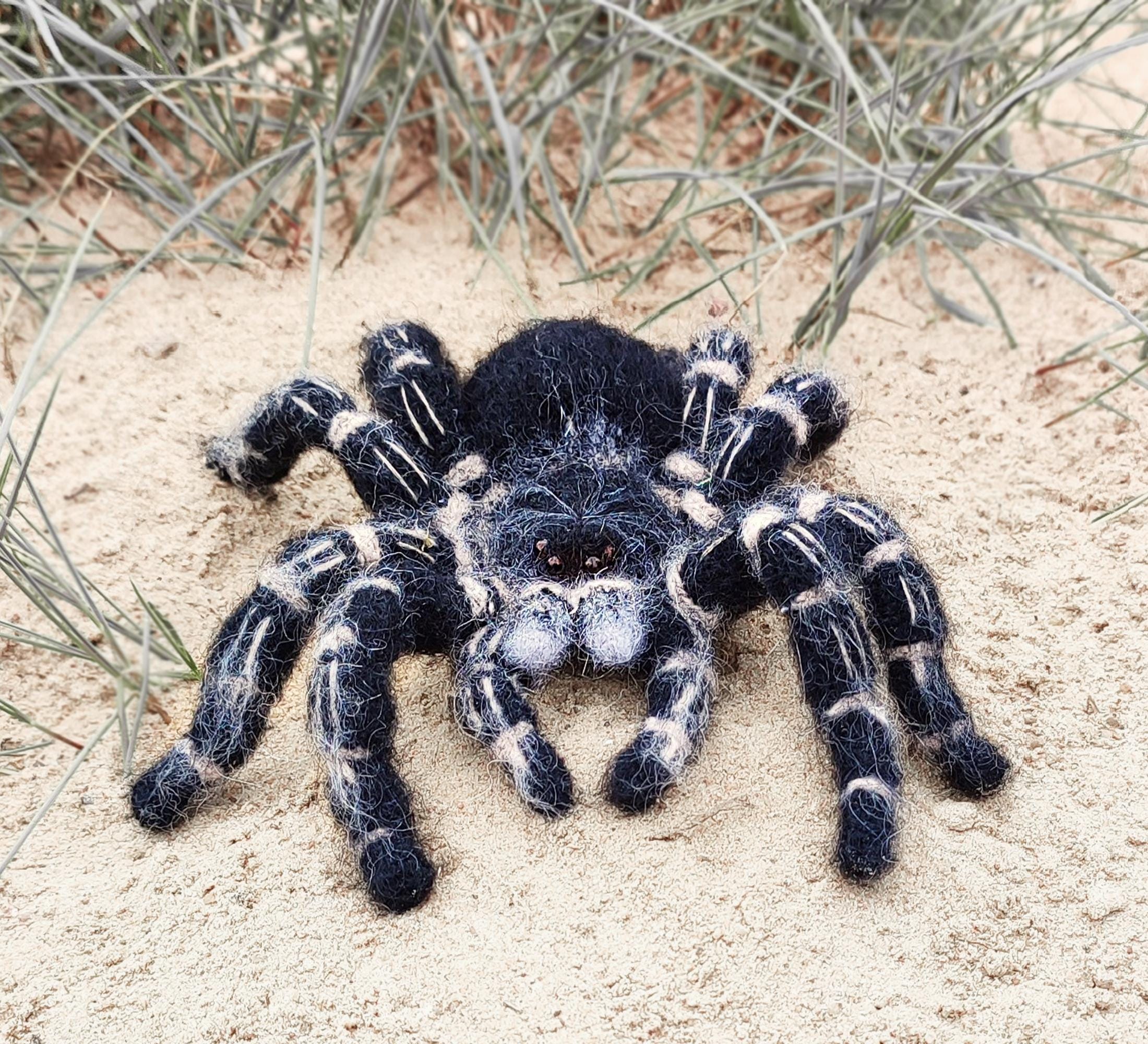 Realistic Crochet Spider Pattern – Costa Rican Zebraknee Tarantula