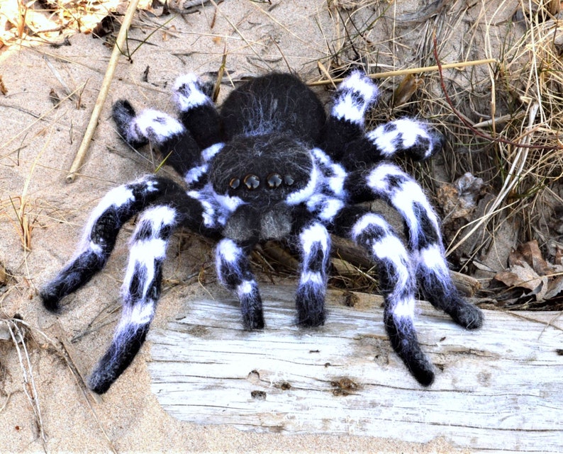 Crochet pattern. Amigurumi Spider. Whiteknee Tarantula. DIY crochet tutorial PDF. image 4