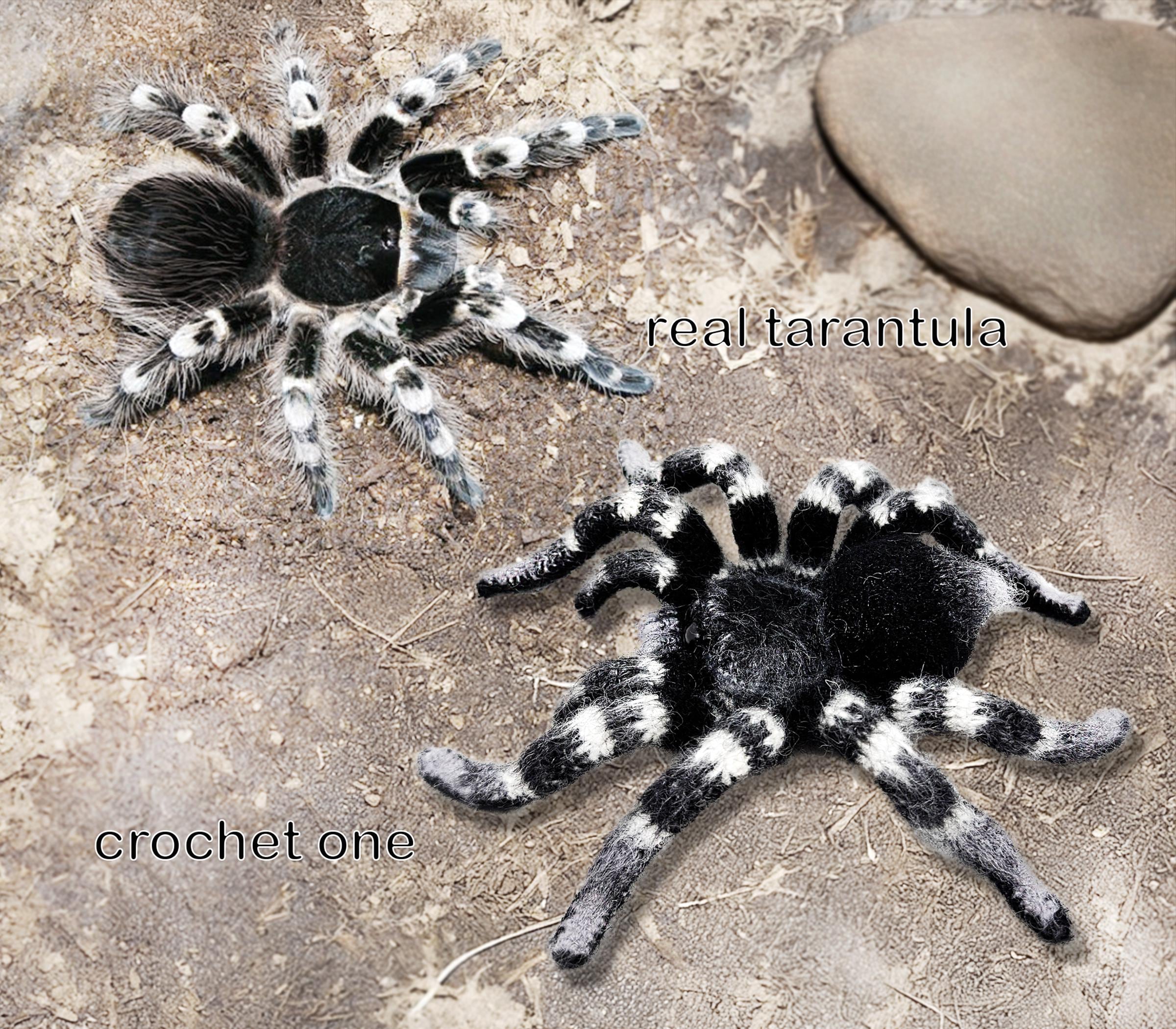 32 Spider Crochet Patterns for Cute, Creepy, and Giftable Makes 25 Amigurumi Spider. Crochet imitation of a real Whiteknee
