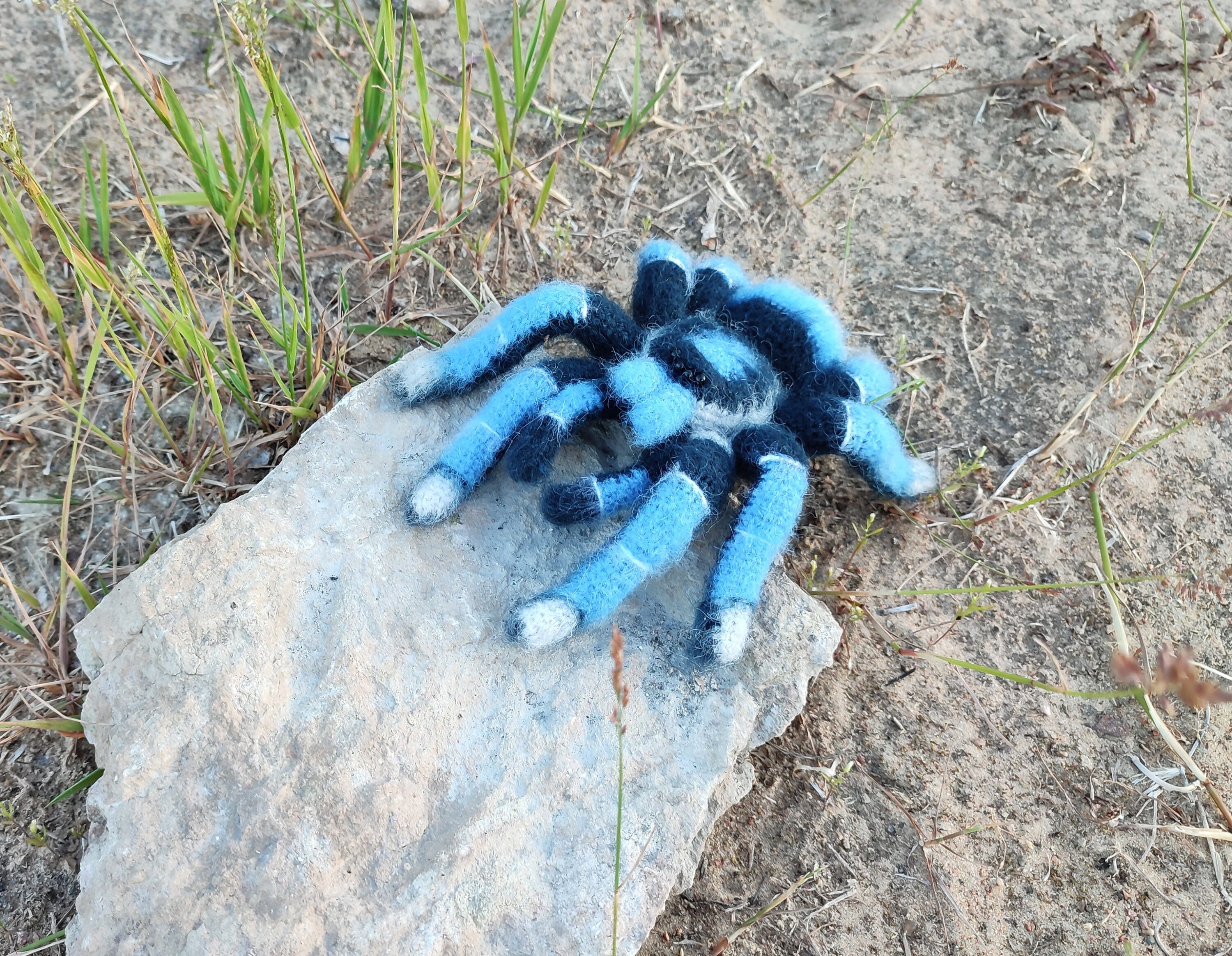 かぎ針編みのパターン。あみぐるみクモ。青いタランチュラ。DIY かぎ針