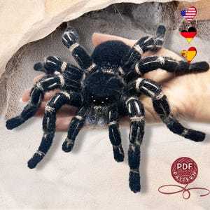 Amigurumi Zebraknee Tarantula. Crochet imitation of a real spider. DIY crochet tutorial PDF.