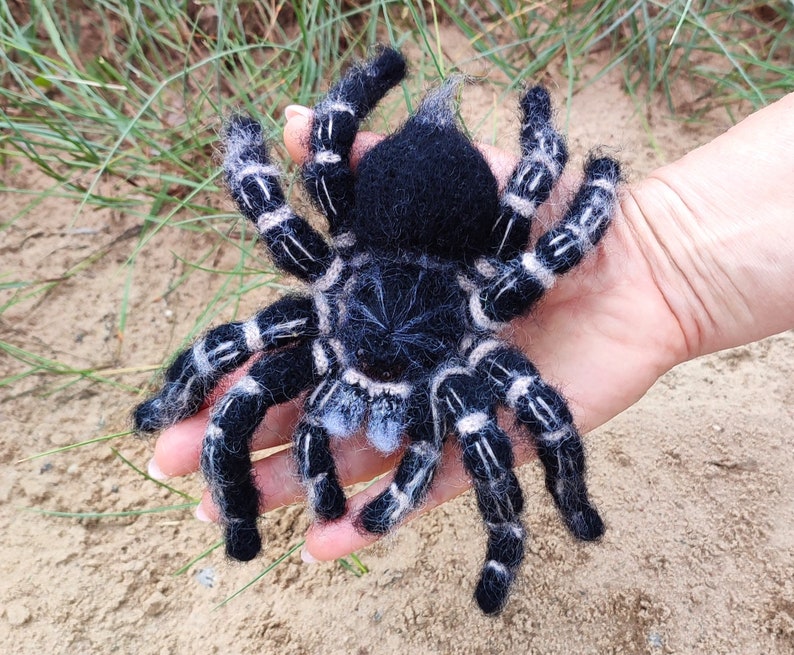 Crochet pattern. Amigurumi Spider. Zebraknee Tarantula. DIY crochet tutorial PDF. image 4