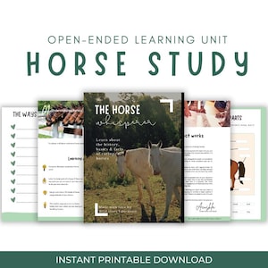 Unité d'étude sur les chevaux| Étude de l'unité d'enseignement à domicile | Projet ouvert | Programme basé sur les intérêts | Soins équins | Animaux | Thème cheval