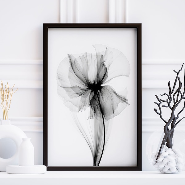 X-ray Flower Digital Art Black and White Flower Prints Rontgen Bild Blume Monochrome Flower Art Gray Abstract Minimalist Digital Download