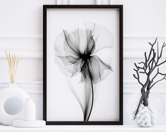 X-ray Flower Digital Art Black and White Flower Prints Rontgen Bild Blume Monochrome Flower Art Gray Abstract Minimalist Digital Download