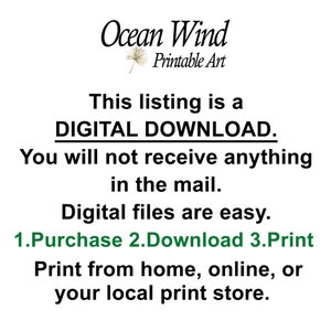 Pode incluir: Texto sobre um fundo branco que diz "Ocean Wind Printable Art". O texto abaixo diz "Esta listagem &eacute; um DOWNLOAD DIGITAL. Voc&ecirc; n&atilde;o receber&aacute; nada pelo correio. Os arquivos digitais s&atilde;o f&aacute;ceis. 1.Comprar 2.Baixar 3.Imprimir Imprima em casa, online ou em sua loja de impress&atilde;o local."
