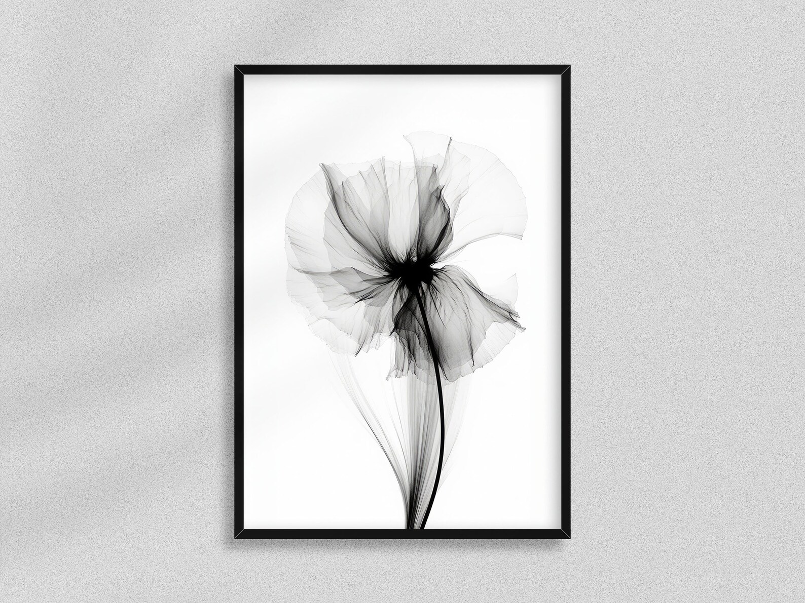 Xray Flower Digital Art Black and White Flower Prints Rontgen Bild Blume Monochrome Flower Art