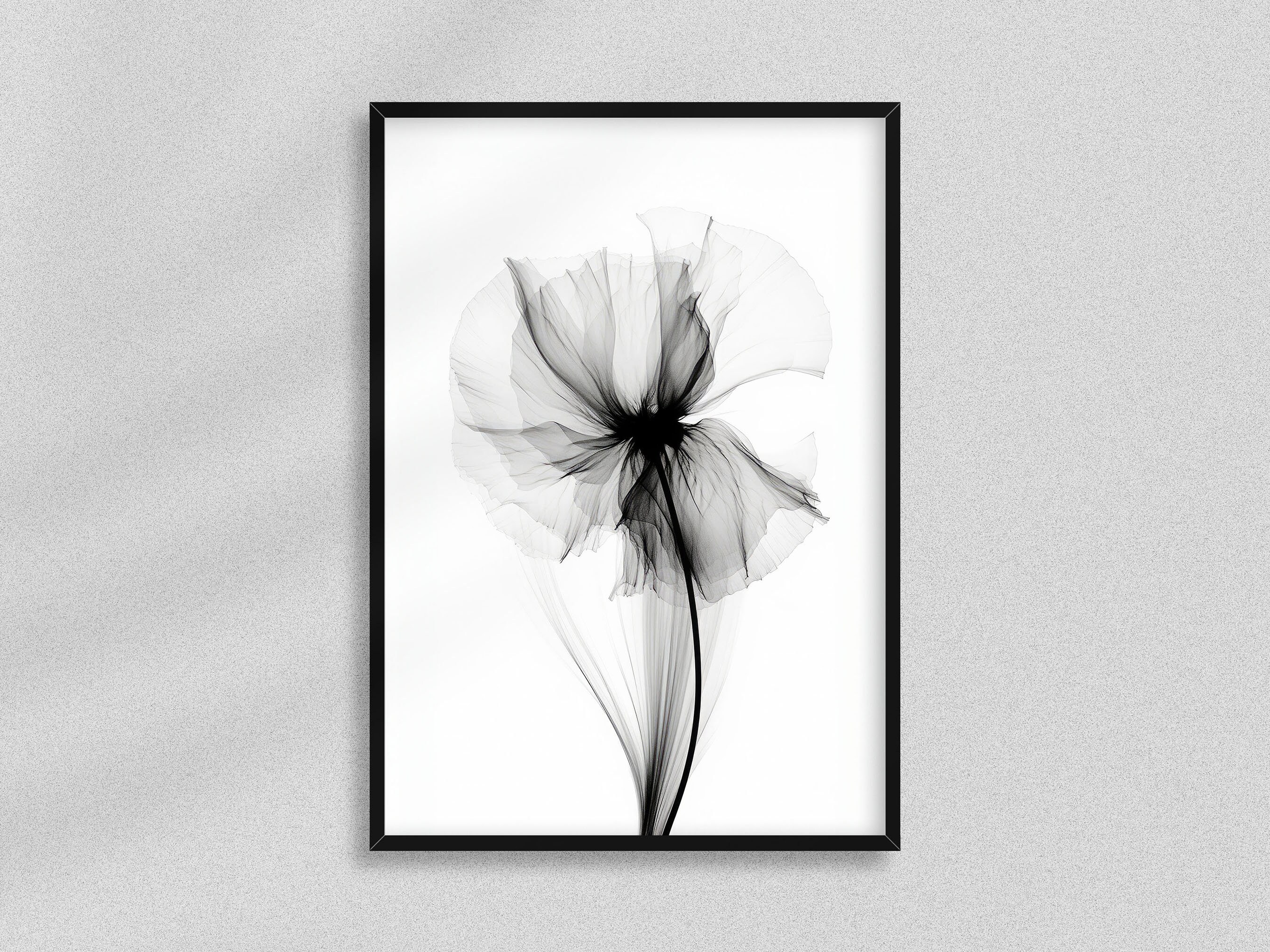 Xray Flower Digital Art Black and White Flower Prints Rontgen Bild