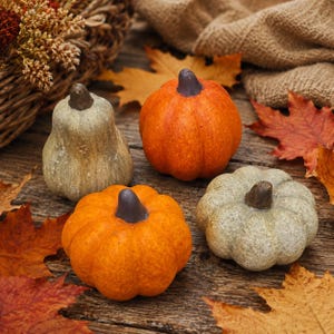 May include: Four decorative pumpkins in varying shapes and sizes. Two pumpkins are bright orange with dark brown stems, while the other two are a muted, textured grey-green colour with dark brown stems, arranged on a rustic wooden surface.