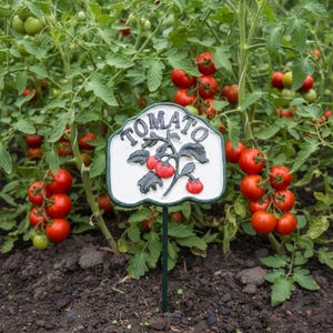May include: A garden scene with a metal tomato plant marker. The marker reads "TOMATO" in white lettering and features a design of tomatoes and leaves. Ripe red tomatoes grow on the plant in the background, surrounded by green foliage.