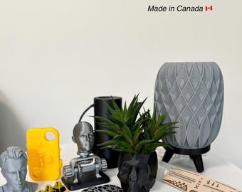 Servicio de impresión 3D personalizada: regalos y modelos personalizados