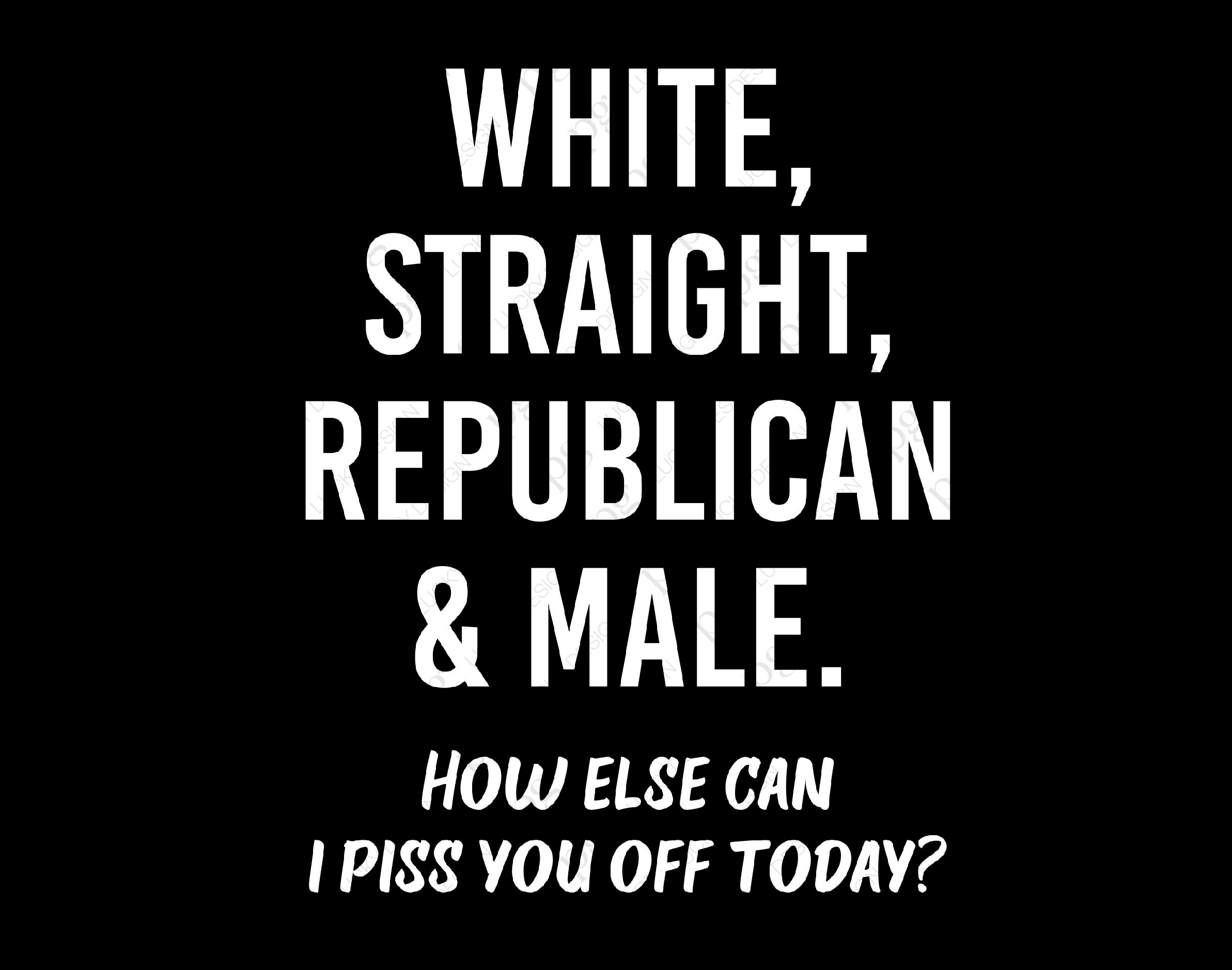 White Straight Republican Male How Else Can I Piss You Off Today T-Shirt White Straight Republican Male How Else Can I Piss You Off Today T-Shirt