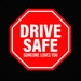 Drive Safe Someone Loves You Svg Png, Drive Safe Svg, Racing Season Svg ...