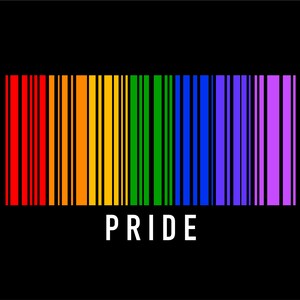 Lgbtq Regenbogen Pride Gay Lesbian Barcode SVG, Regenbogen Pride Barcode svg, digitaler Download DTG Sublimation Cricut SVG & PNG