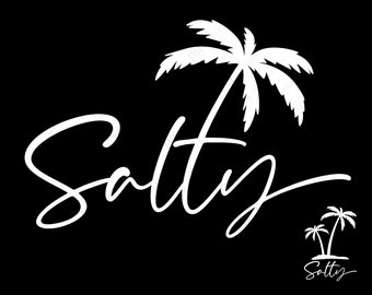 2 Bundles, Salty Svg Png, Summer Svg, Summer Vibes Svg, Beach Vibes Svg, Vacation Mode Svg, Digital Download Sublimation PNG & SVG Cricut