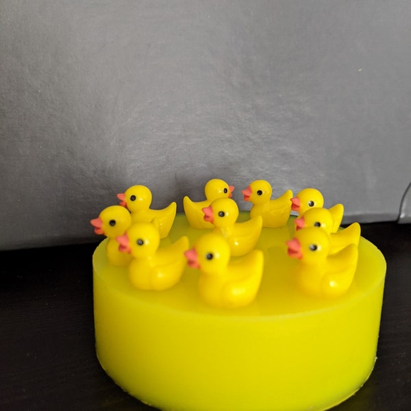 3D Silikonform mit 10 kleinen Enten für 17mm große Enten