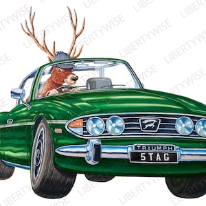 Triumph Stag DIGITAL DOWNLOAD ONLY