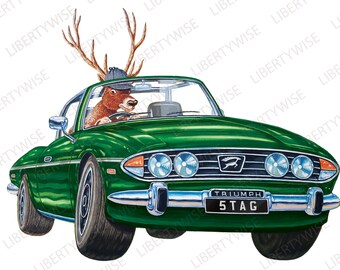 Triumph Stag DIGITAL DOWNLOAD ONLY