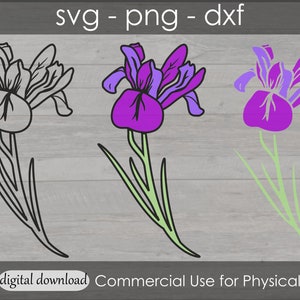 Flor de iris SVG - Flores violetas - Diseño floral púrpura - Vector en capas para Cricut y silueta - Arte de camisa de niña - Signo de pegatina de calcomanía de coche