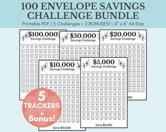 20,000 Saving Challenge | Save 20,000 Dollars in 100 Days