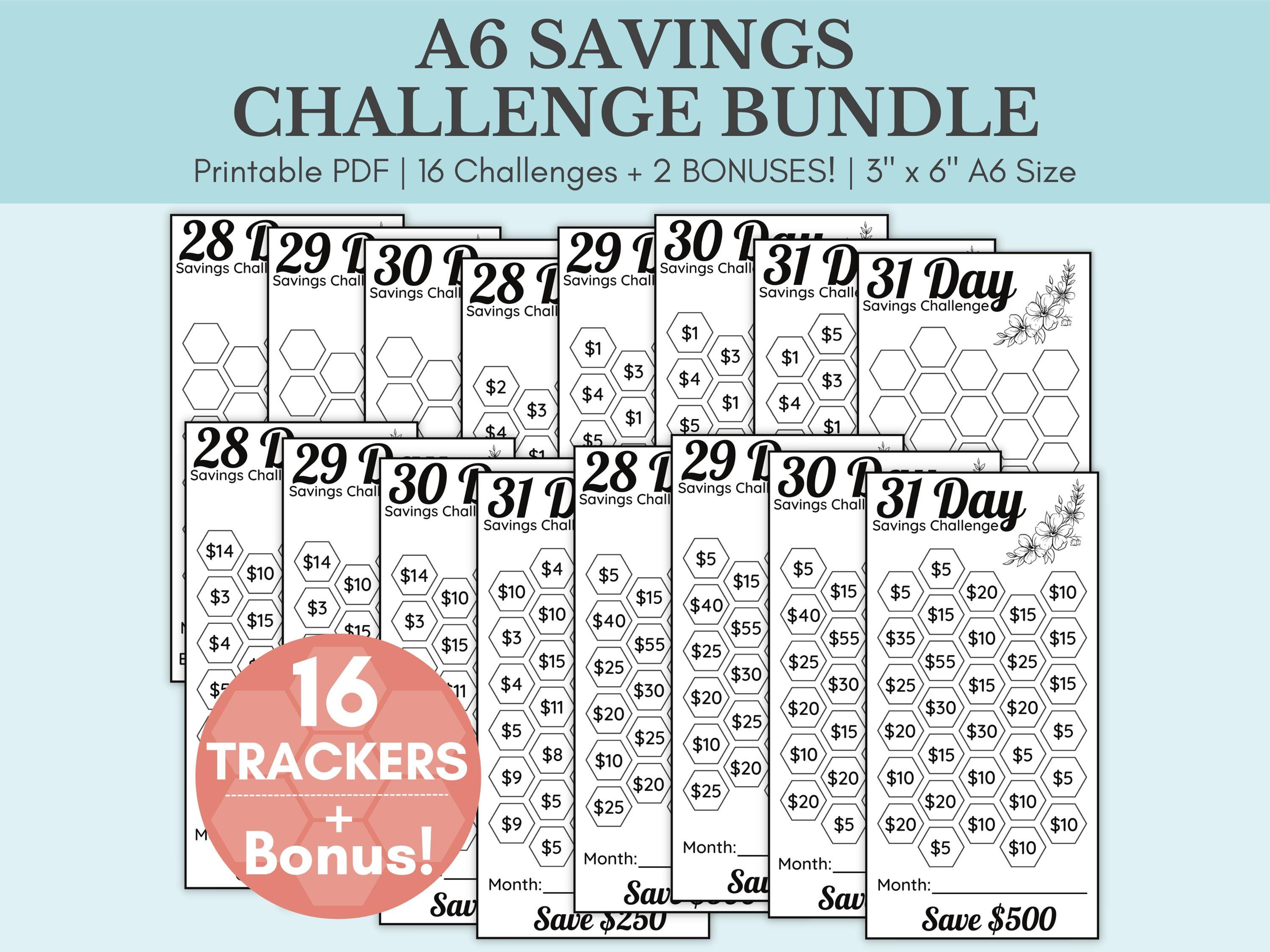 ★うさこ★ A6リフィル　savings challenge A6 Savings Challenge Bundle, Money Savings Challenge