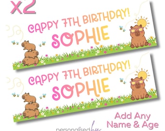 2 x Personalised Highland Capybara Theme Birthday Baby Shower Banners Large Blue Add ANY TEXT FREE Delivery