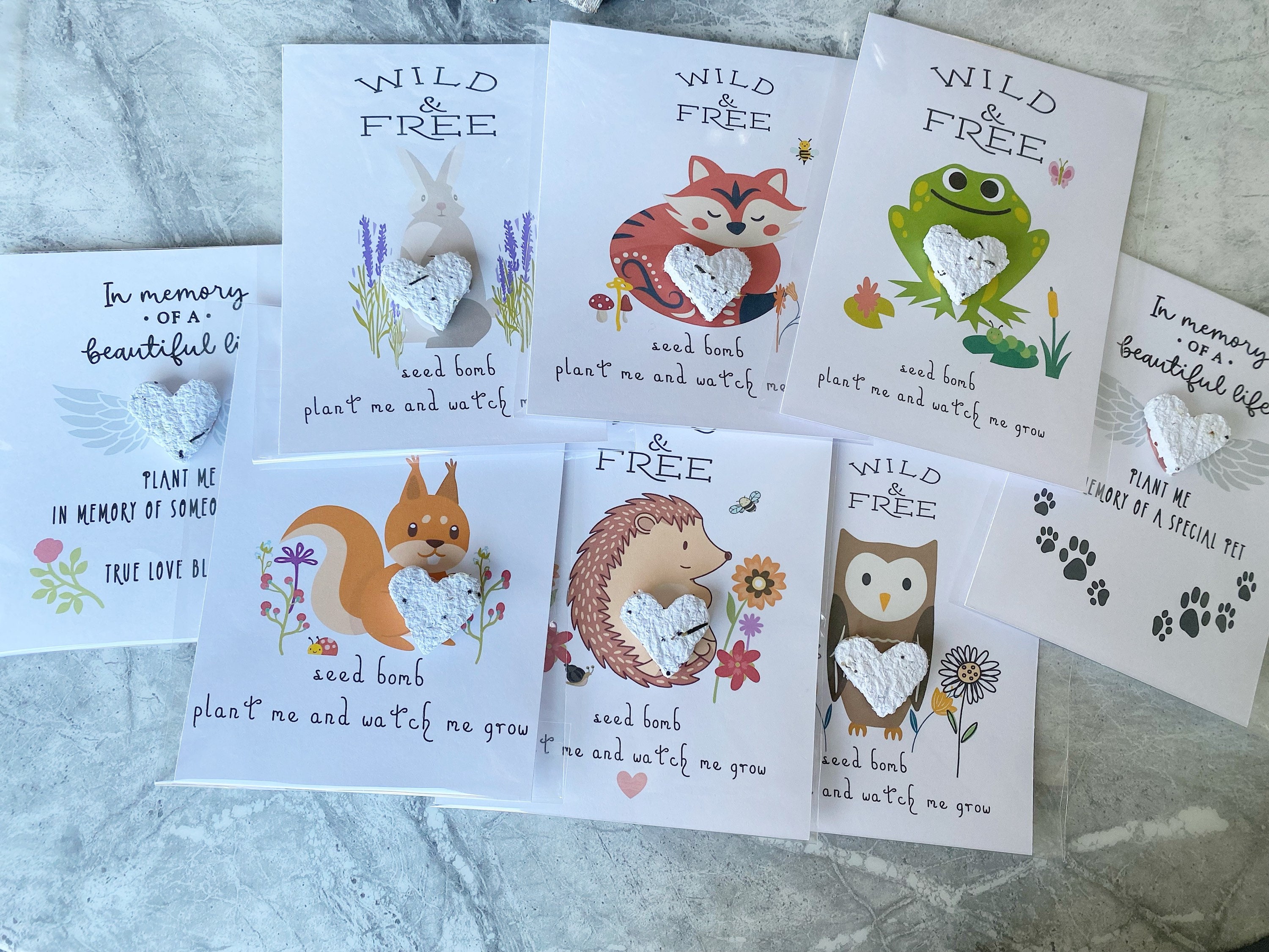 Create a Wildflower Patch in Your Garden with Our Hedgehog Gifts UK