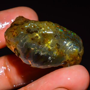 Peut inclure: Une pierre précieuse opale brute et translucide avec une texture de surface brillante et humide. La pierre présente une couleur de base brun-jaune foncé avec des éclats internes de lumière irisée verte, bleue et orange dispersés.