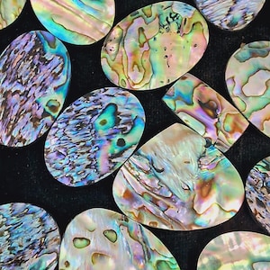 1 kg PAUA ABALONE SHELL Gemstone Mix Shape Cabochon Lot Natural Abalone Shell Gemstone Wholesale Lot Loose Gemstones For Jewelry Making