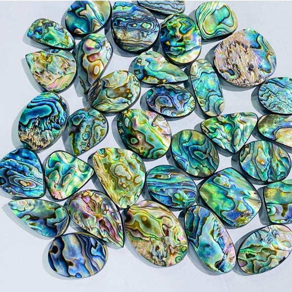 20mm To 30mm PAUA ABALONE SHELL Gemstone Oval Fancy Mix Shape Cabochon Lot Natural Gemstone Wholesale Lot Loose Gemstones For Jewelry Making