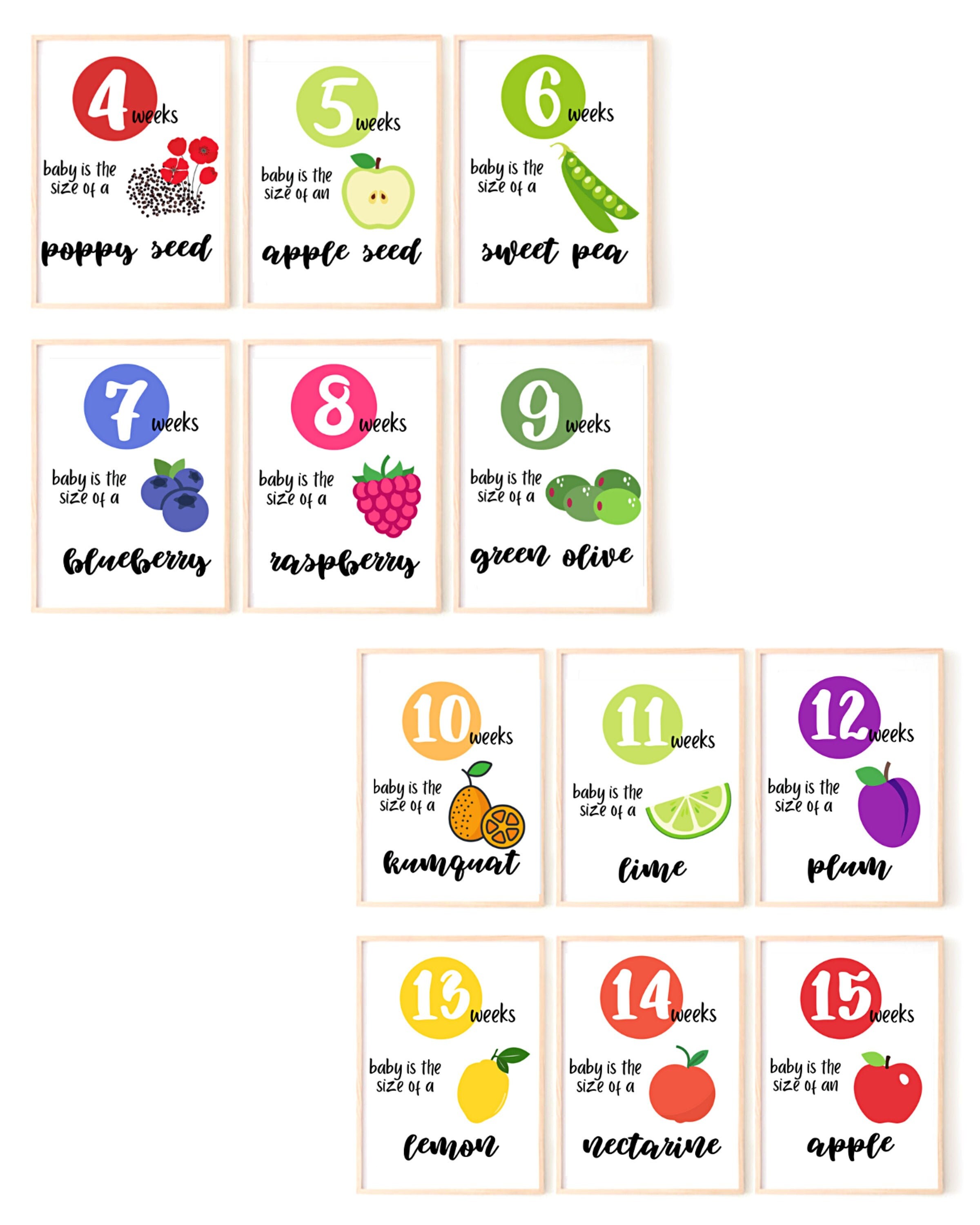 Baby Size Weekly Baby Bump Pregnancy Prints Pregnancy Week By Etsy Singapore