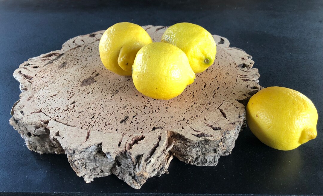 Cork Trivets for Hot Dishes / Cork Hot Pads From the Alentejo Etsy