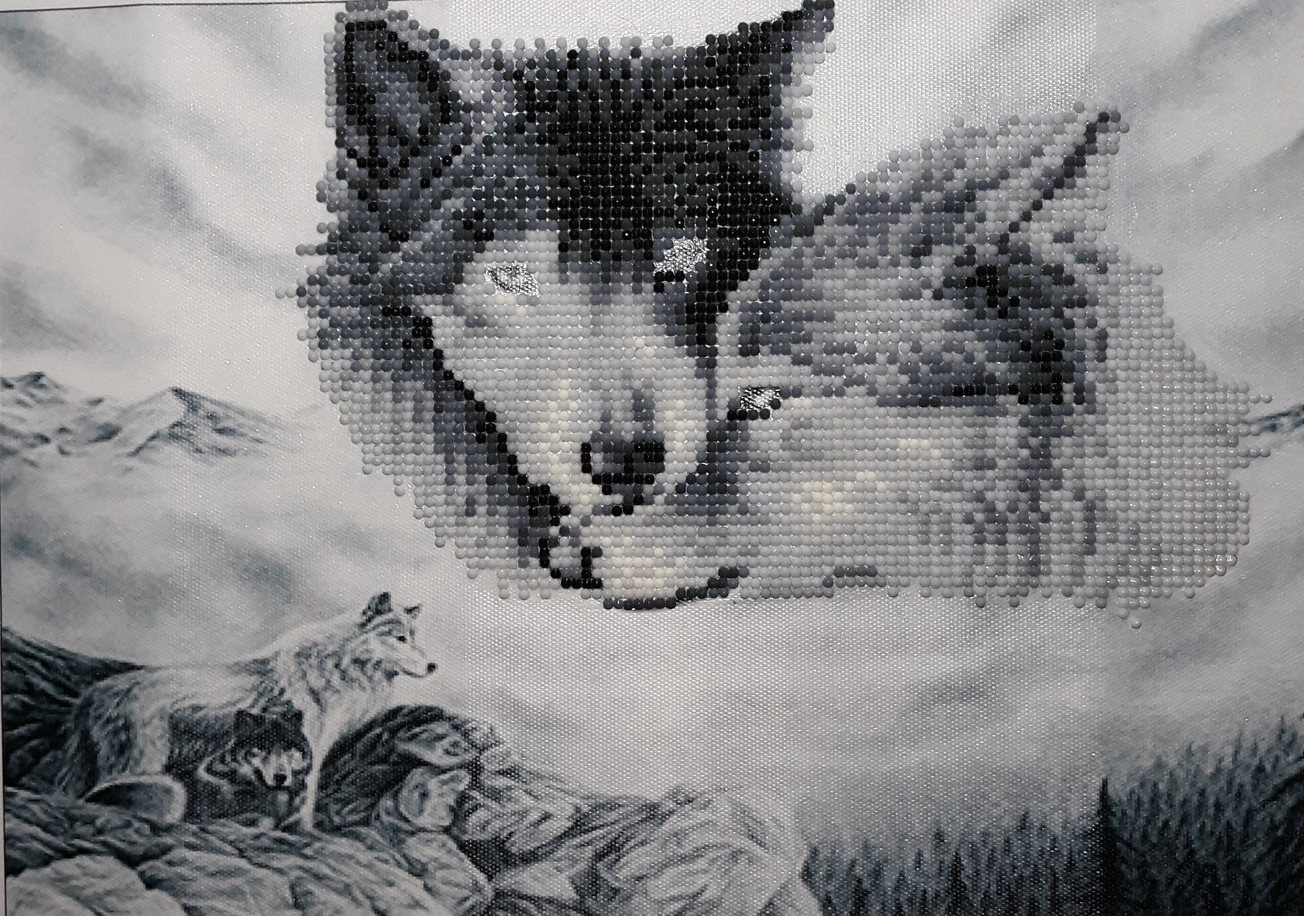 Diamond painting kit - White wolf - Coricamo