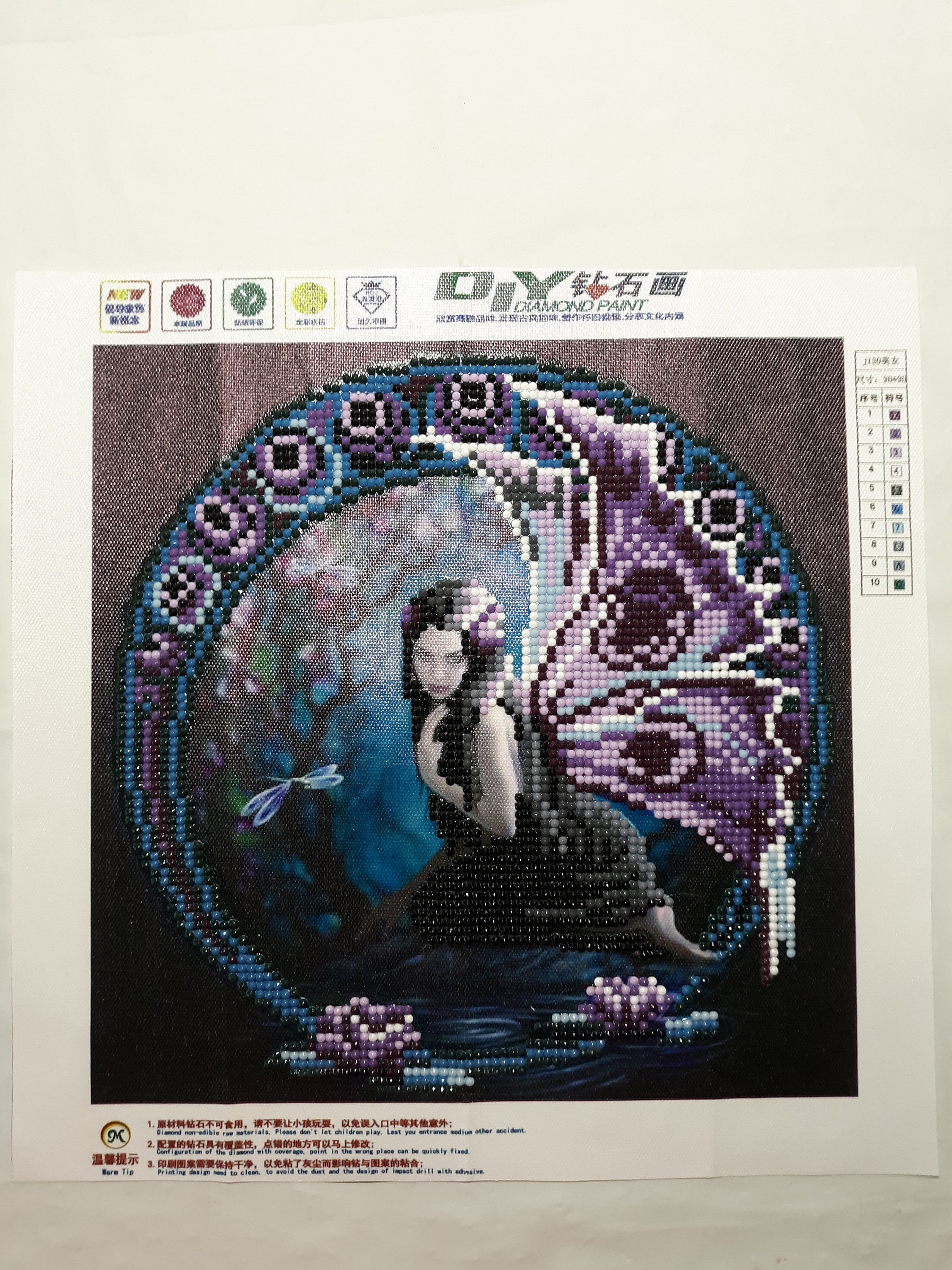 Black Horse in Water Completed 5D Diamond Painting 