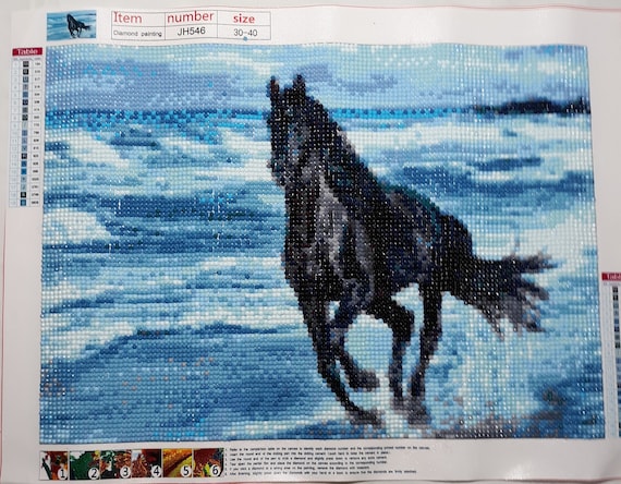 Black Horse in Water Completed 5D Diamond Painting 