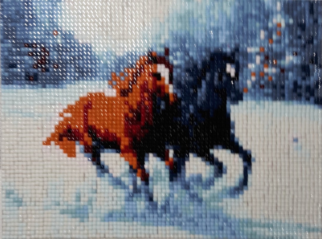 Two Horses in Snow Completed 5D Diamond Painting - Etsy