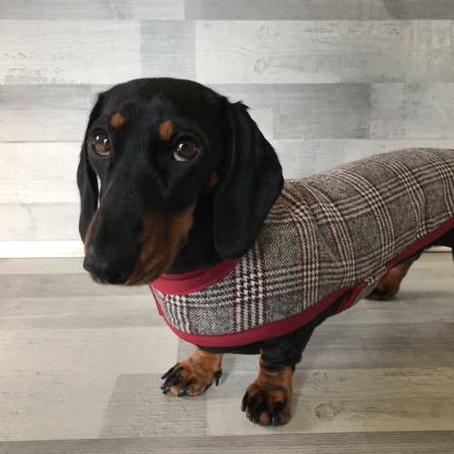 Dog Winter Coat With Underbelly Protection Dachshund Coat Etsy