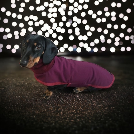 Waterproof Dachshund Coat (Wine polar neck)