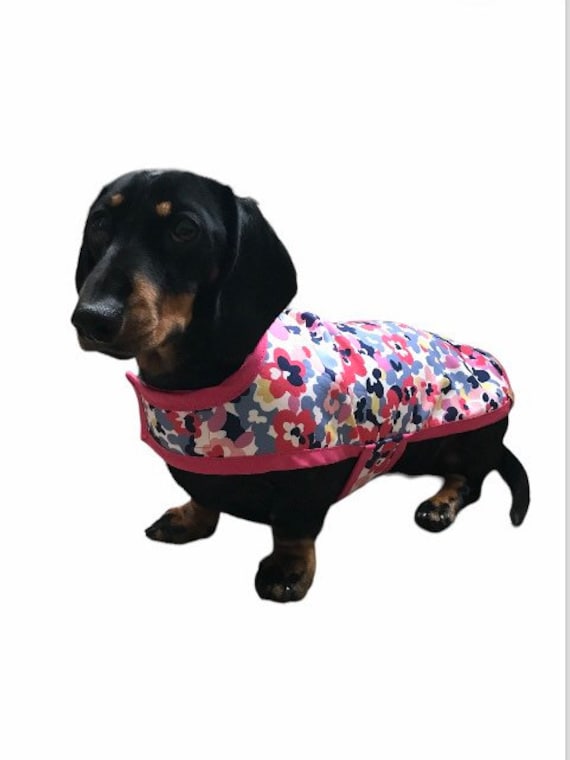 Waterproof Dachshund Coat ( floral soft shell)