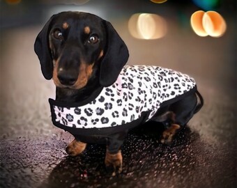 The Cream Leopard fleece lined water repellent Dachshund Coat
