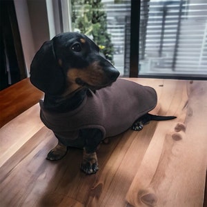 Dachshund fleece (chocolate brown)