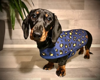 Abrigo de Dachshund miniatura Leopardo de medianoche
