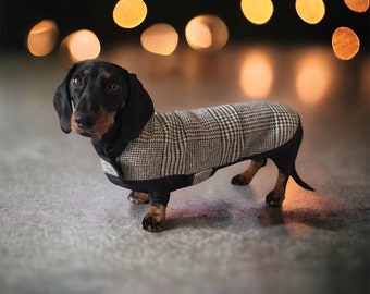 Woolly Dog Tooth Dachshund Coat