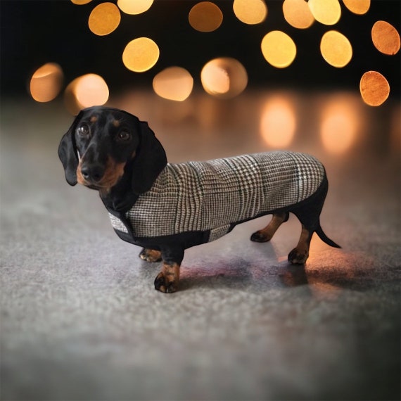 Woolly Dog Tooth Dachshund Coat Etsy UK