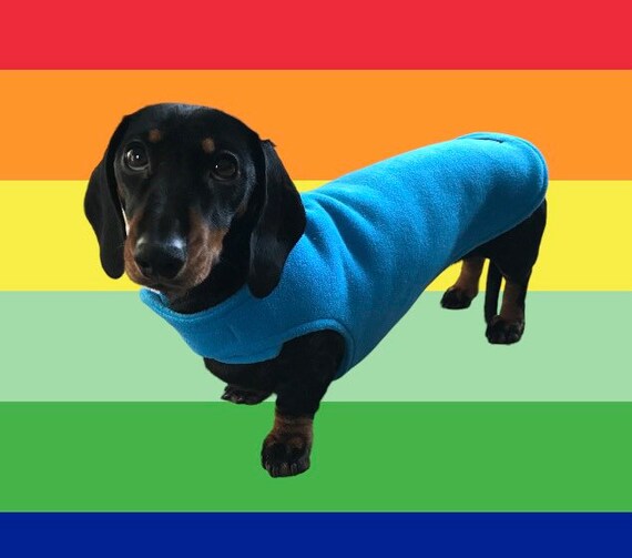 Aqua Blue Dachshund Fleece