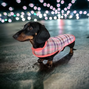 Dachshund Coat warm winter woolly fleece lined coat (Coral Plaid)
