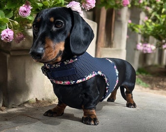 Arnés para perro salchicha (sin frotar las axilas, azul marino)