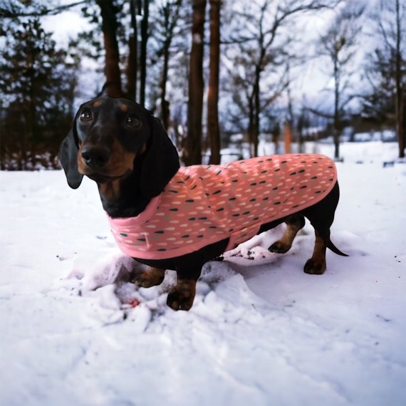 Warm Waterproof Pink Raindrops Dachshund Coat