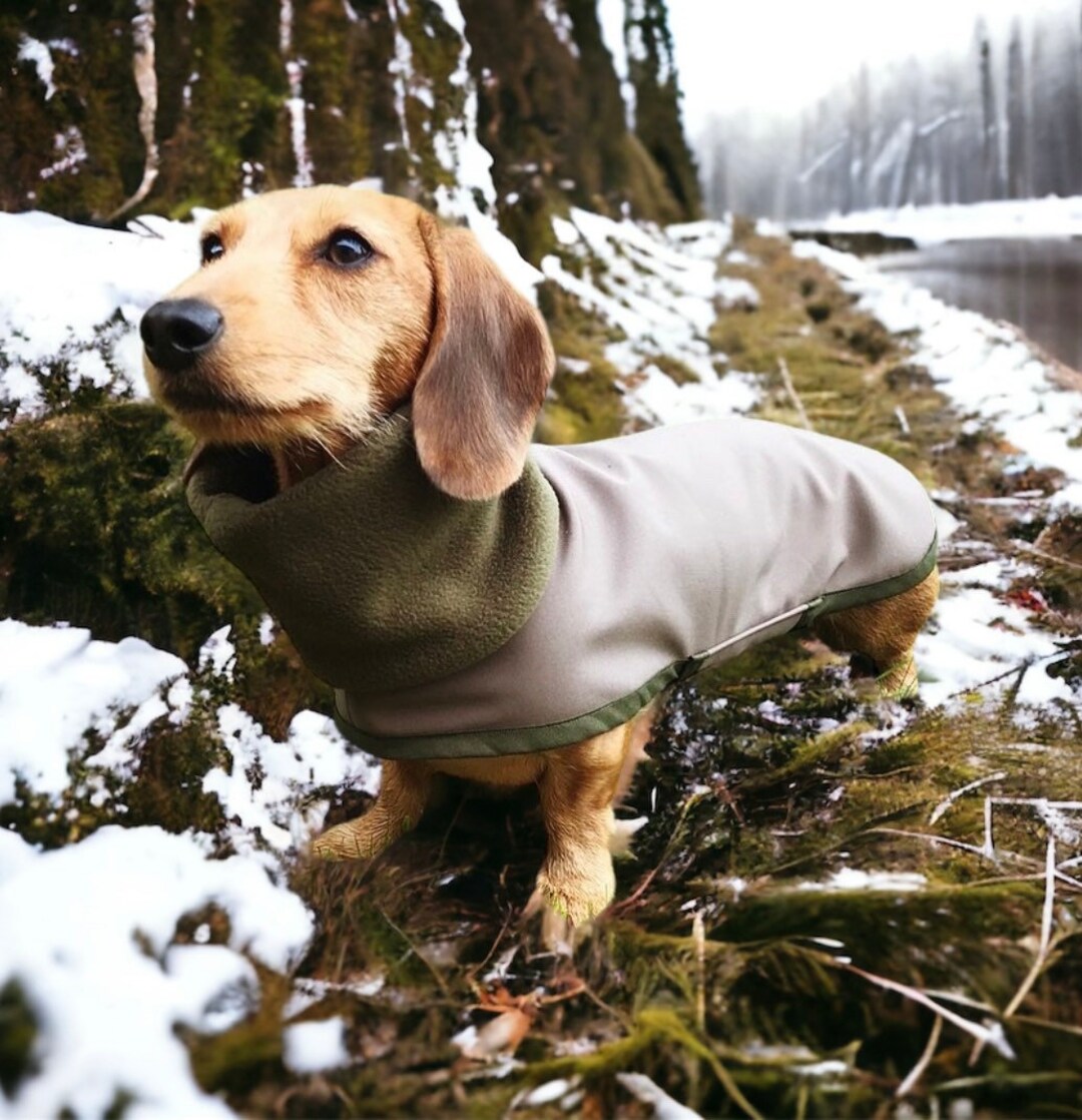 Waterproof Dachshund Coat khaki Green Polar Neck Soft Shell Etsy Canada