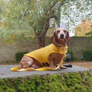 Yellow Dachshund Fleece